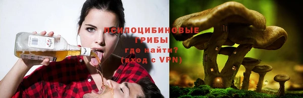 индика Армянск