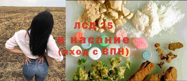 индика Армянск