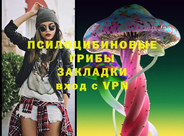 МДПВ Алзамай