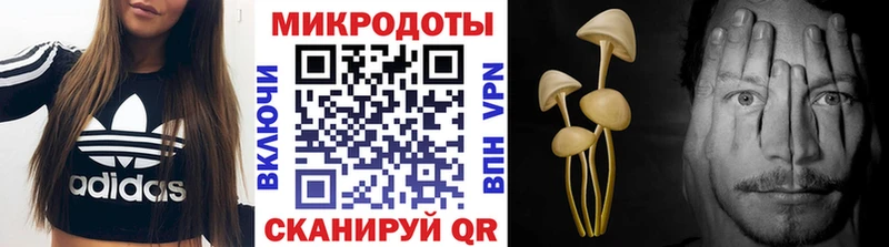 Псилоцибиновые грибы Cubensis  Саки 